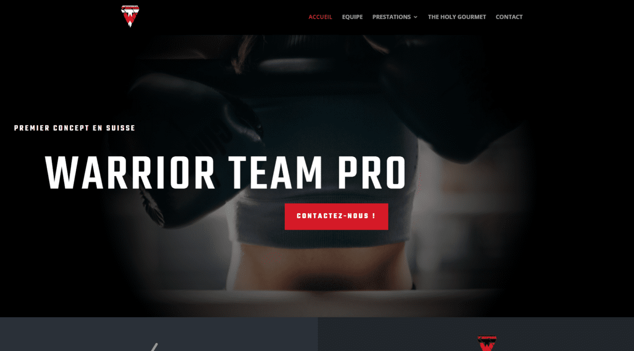 Entreprise informatique à Genève